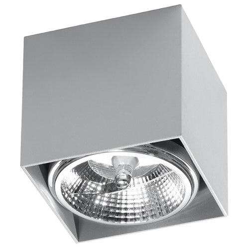 Sollux Lighting Plafondlamp BLAKE grijs - 12x12x11cm