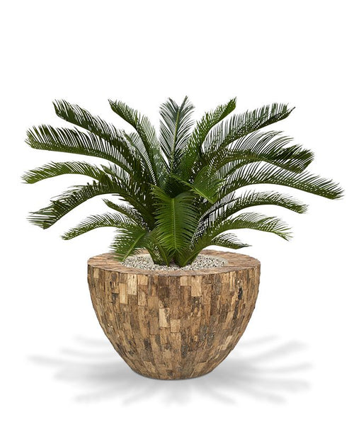 Maxifleur Cycas deluxe kunstpalm M 80cm