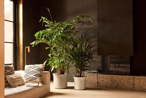 elho june tulip 47 balanced beige | Bloempot |Premium statementdesign