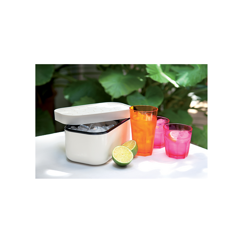 Lékué IJsblokjesvorm met bewaardoos