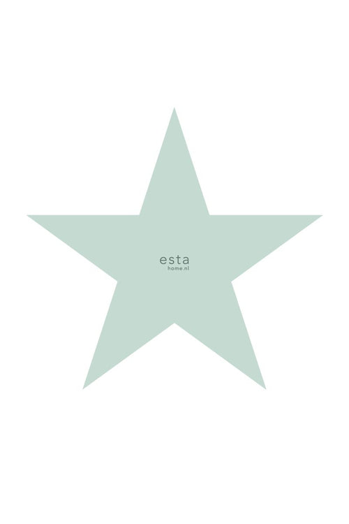 ESTAhome fotobehang grote ster mintgroen - 186 x 279 cm - 158841 - vtwonen shop