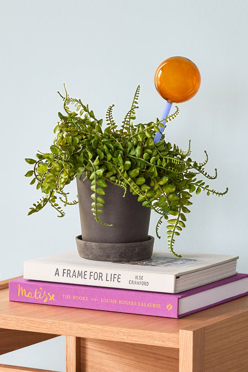 Hübsch waterbol Flora - glas - 8x8xh27cm - vtwonen shop