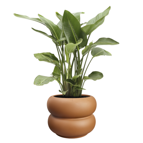 elho amber roll 60 karamel | Bloempot |Premium statementdesign