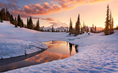 Sanders & Sanders fotobehang landschap met sneeuw wit en lichtbeige - 450 x 280 cm - 612606 - vtwonen shop