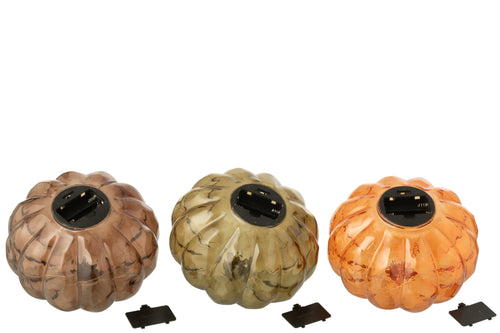 J-Line decoratie Pompoen - glas - cognac/olijfgroen - 3 stuks - LED lichtjes - vtwonen shop