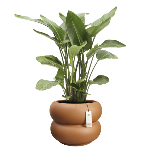 elho amber roll 60 karamel | Bloempot |Premium statementdesign