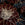 Sanders & Sanders fotobehang bloemen blauw en goud - 375 x 270 cm - 601460