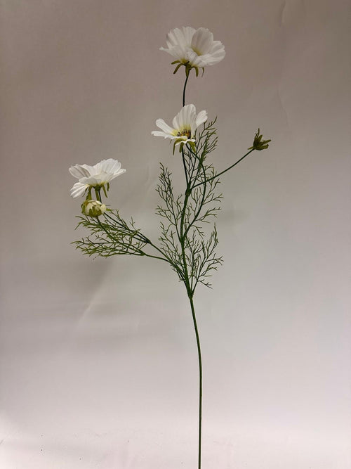 My Flowers.shop Witte cosmea zijden bloem | Lengte  90 centimeter | Per stuk - vtwonen shop