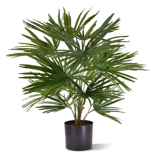 Maxifleur Baby Fan kunstpalm 45cm