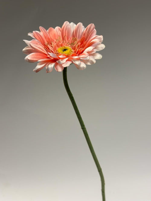 My Flowers.shop Zalmkleurige gerbera zijden bloem | Lengte 63 centimeter | Per stuk - vtwonen shop