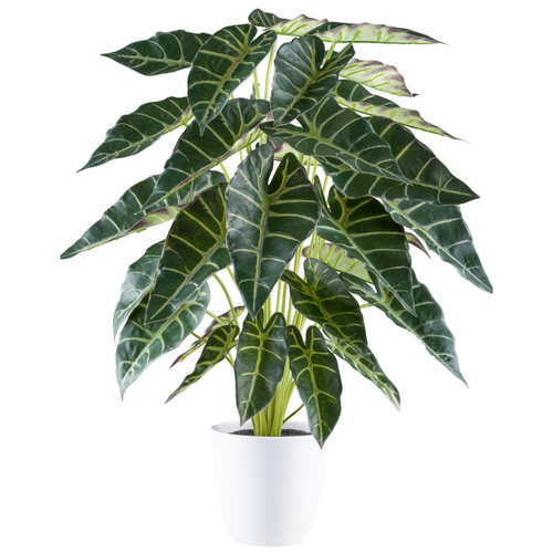 Flourify kunstplant - Alocasia - 68 cm - vtwonen shop