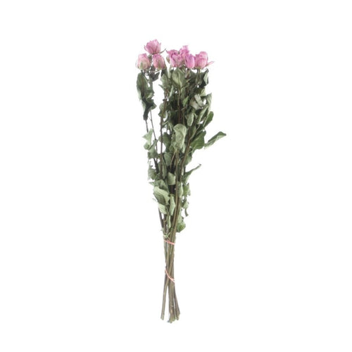 My Flowers.shop Tien gedroogde roze rozen | Lengte 50 centimeter | Per bos te bestellen - vtwonen shop