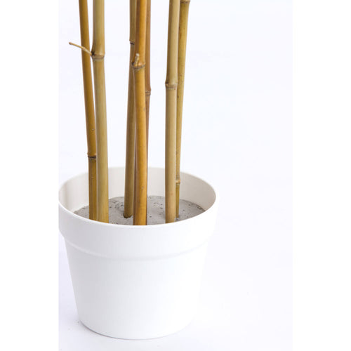Light & Living kunstplant BAMBOO - 70x60x120cm - bruin
