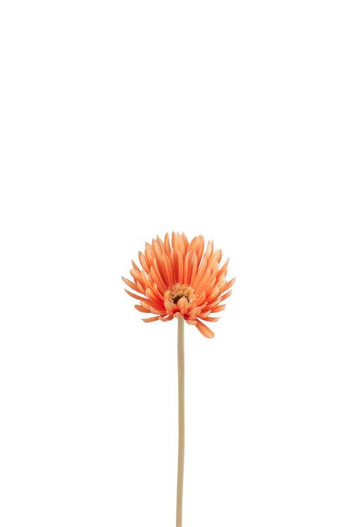 J-Line bloem Gerbera Virgin - kunststof - oranje - 12 stuks - vtwonen shop