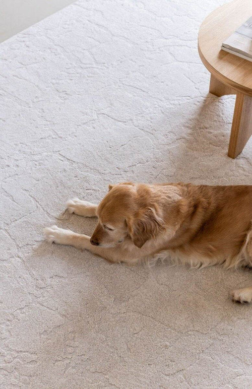 Interieur05 Vloerkleed Cairt Wit/Creme - 200 x 290 cm - vtwonen shop