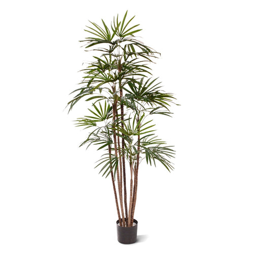 Maxifleur Raphis kunstpalm Promo 170cm