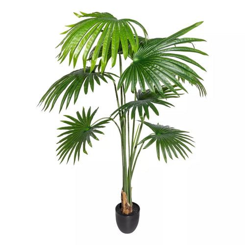 Flourify kunstplant - Washingtonia palm - 150 cm - vtwonen shop