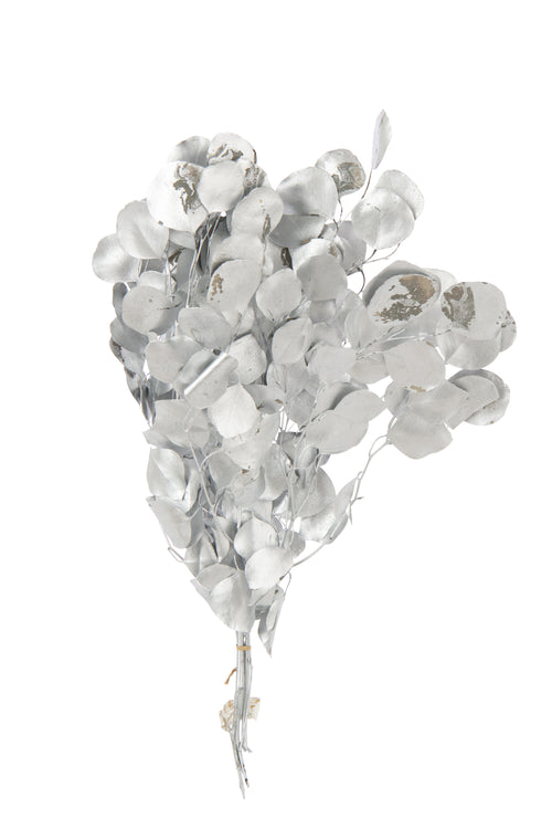 J-Line droogbloemen Eucalyptus - zilver - vtwonen shop
