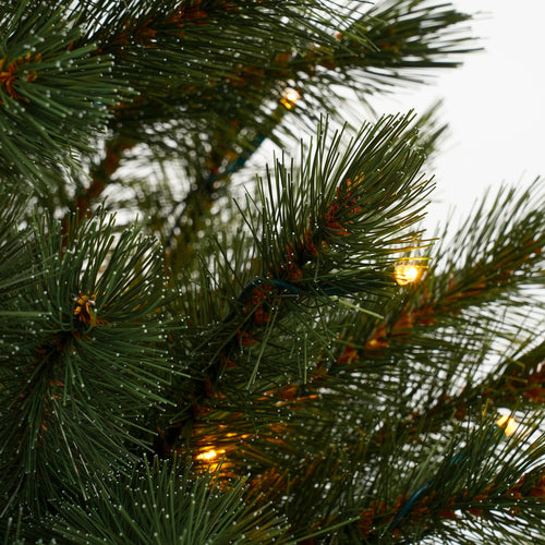 Triumph Tree Bristlecone Kunstkerstboom met LED Verlichting - H155 x Ø99 cm - Donkergroen