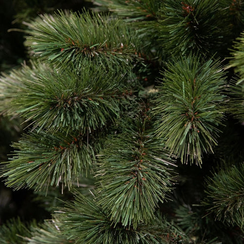 Triumph Tree Camden Guirlande - Kerstversiering met Volle Dennentakken voor Binnen - Kerstslingers om op te Hangen - Versieren met Lampjes voor Binnen