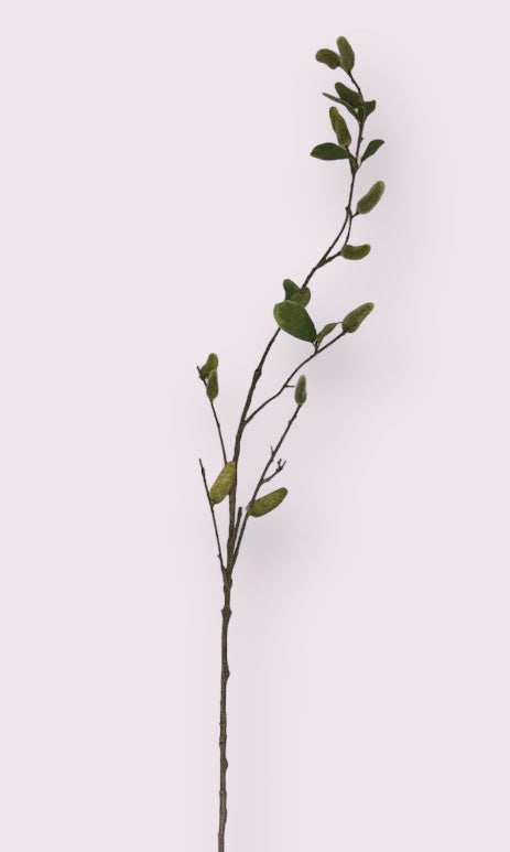 My Flowers.shop Groene magnolia in knop zijden bloem | Lengte 100 centimeter | Per stuk - vtwonen shop