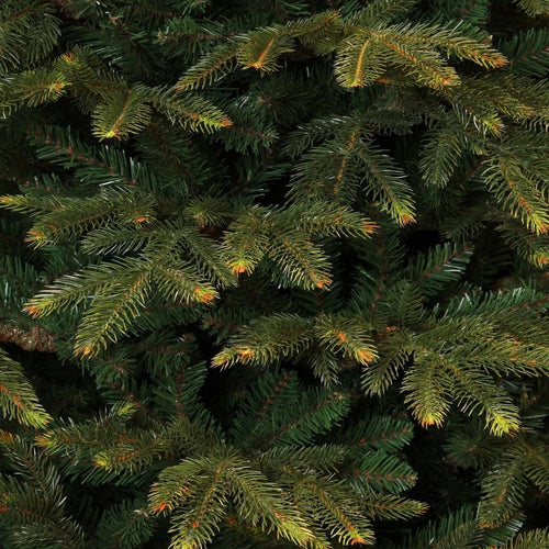 Black Box Trees Frasier Kerstboom - Kerstversiering voor Binnen met Natuurlijke Uitstraling - Kunstboom Grillige Vorm zoals Boom uit het Bos - H215 x