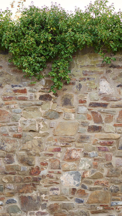 Livingwalls fotobehang steen beige, bruin en groen - 159 x 280 cm - AS-392471