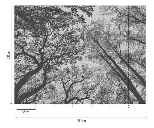 One Wall one Role fotobehang bosrijk landschap grijs en zwart - 371 x 280 cm - AS-382401