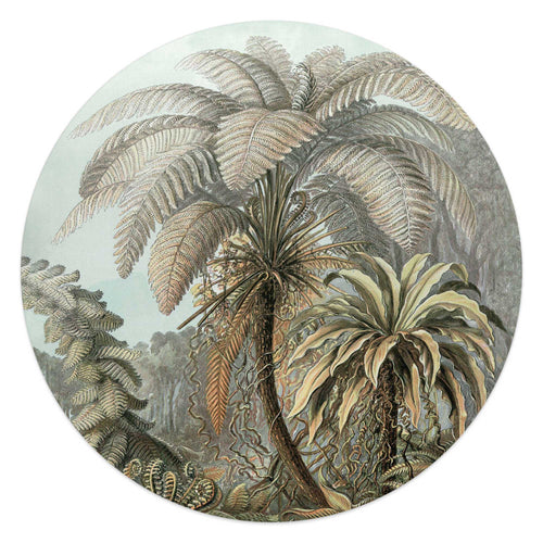 Reinders glasschilderij Palmboom - Ø 50cm