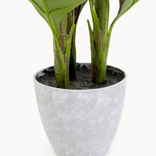 Kare Design Kunstplanten Canna Lily 115cm