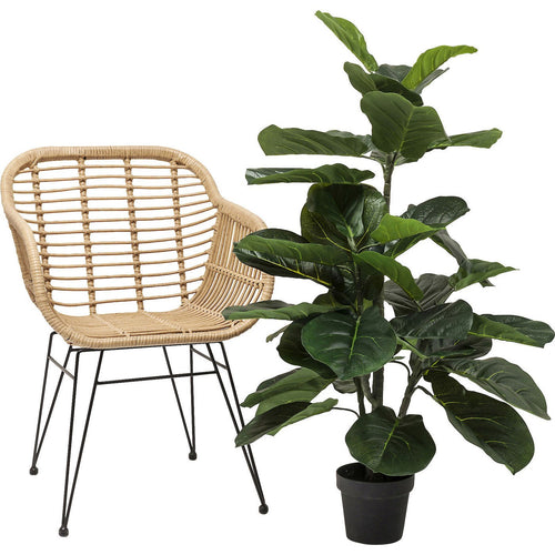 Kare Design Kunstplanten - Ficus Lyrata - 120cm - vtwonen shop