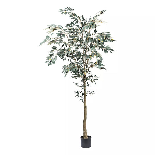 Flourify kunstplant - Olijfboom - 210 cm