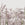Sanders & Sanders fotobehang palmbladeren grijs - 424 x 280 cm - 640920