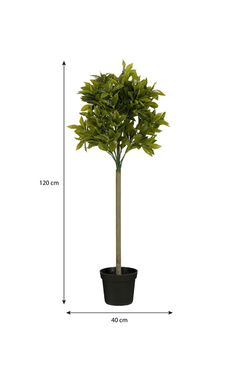 Outsunny Set of 2 Artificial Topiary Bay Laurel Ball Trees Decorative Plant with Nursery Pot for Indoor Outdoor Décor, 90cm in Outdoor, | UK Outsunny Set of 2 Artificial Topiary Bay Laurel Ball Trees Decorative Plant with Nursery Pot for Indoor Outdoor Décor, 90cm in Outdoor, | UK