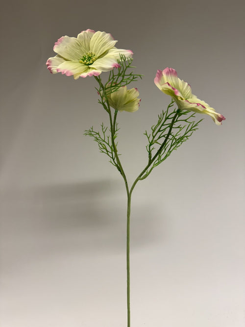 My Flowers.shop Geelroze cosmea zijden bloem | Lengte 65 centimeter | Per stuk - vtwonen shop