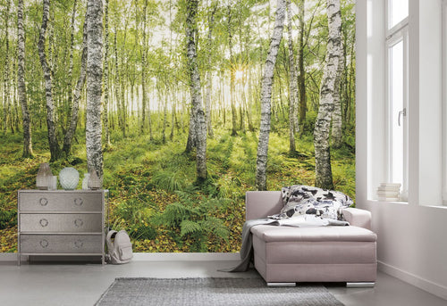Sanders & Sanders fotobehang berken groen - 400 x 250 cm - 612486
