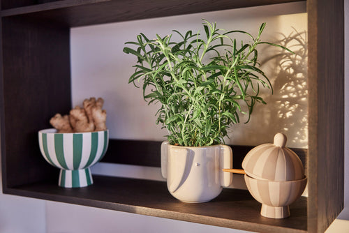 OYOY Snoepdoos - steengoed