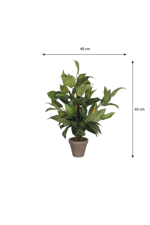 Mica Decorations Hosta Kunstplant in Bloempot Stan - H65 x Ø40 cm - Groen