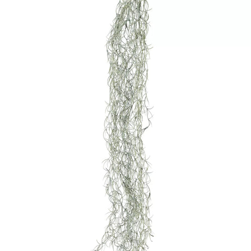 Flourify Kunstplant - Tillandsia rank - 146 cm - bundel van 4 - vtwonen shop