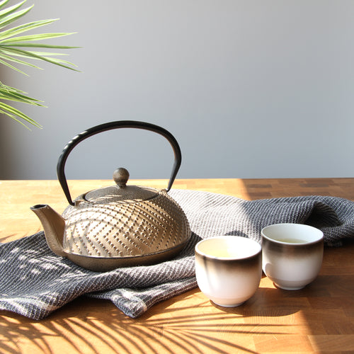 Bredemeijer - Theepot Fujian Goud 1.2L met filter - theezeef MET GRATIS KOPJES