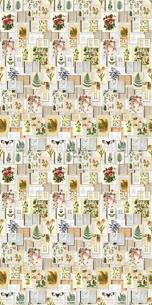 ESTAhome XXL behang bladzijden botanisch bloemen en planten boek licht crème beige, groen, bruin en okergeel - 50 x 900 cm - 158825 - vtwonen shop