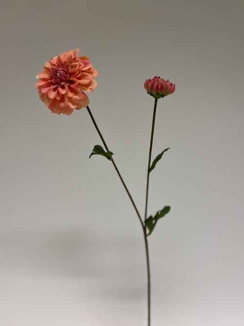 My Flowers.shop Roze dahlia zijden bloem | Lengte  63 centimeter | Per stuk - vtwonen shop