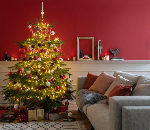 Furnilux Plant & More - Nordmann Kerstboom 210 - 240 cm - Zonder Kluit - vtwonen shop