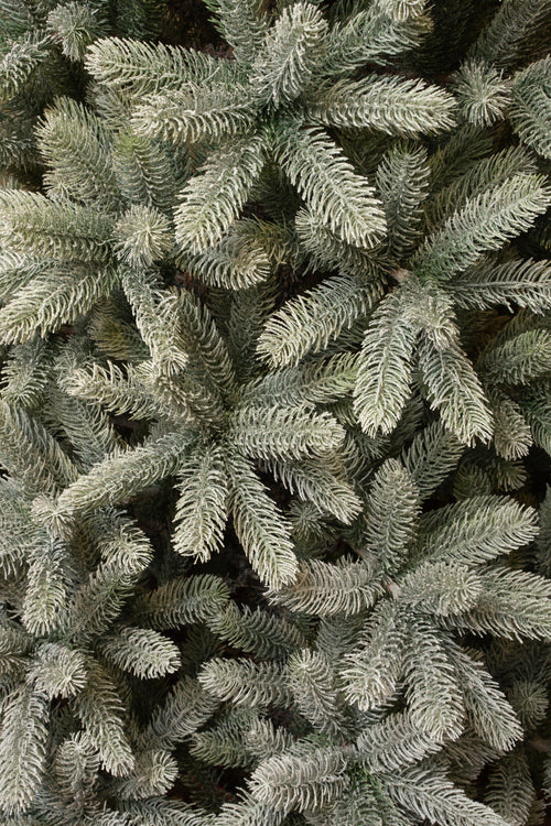 Black Box Trees Nagoya Kunstkerstboom - H120 x Ø79 cm - Groen Frosted - vtwonen shop