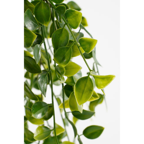 Mica Decorations Ficus Kunst Hangplant in Pot - H46 x Ø20 cm - Groen