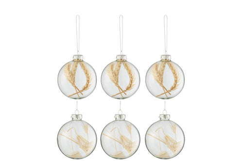 J-Line kerstbal Gedroogde Takjes - glas - transparant/beige - small - doos van 6 - vtwonen shop