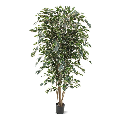 Maxifleur Ficus Exotica deluxe kunstboom 180cm - bont
