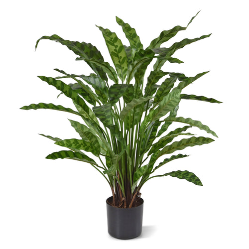 Maxifleur Calathea Leopardina kunstplant 60cm