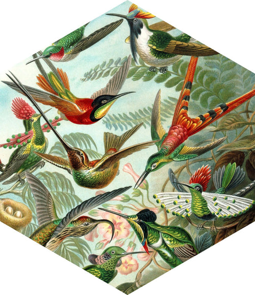 ESTAhome muursticker vogels tropisch junglegroen - 70 x 81 cm - 158999 - vtwonen shop