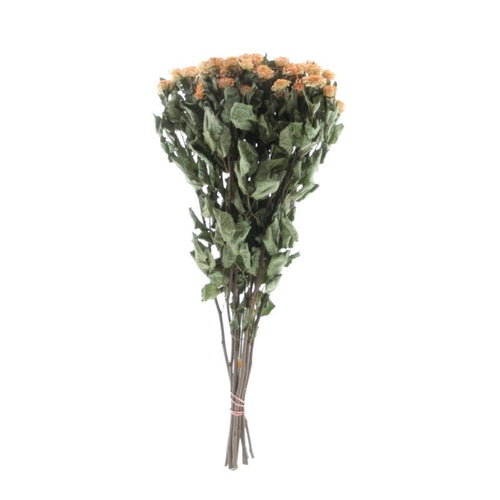 My Flowers.shop Tien gedroogde Peach Fuzz trosrozen | Lengte 50 centimeter | Per bos te bestellen - vtwonen shop